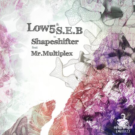 Artwork Low5 S E B Shapeshifter Ft Mr Multiplex EMR0022